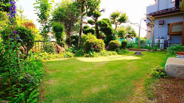Garden. local