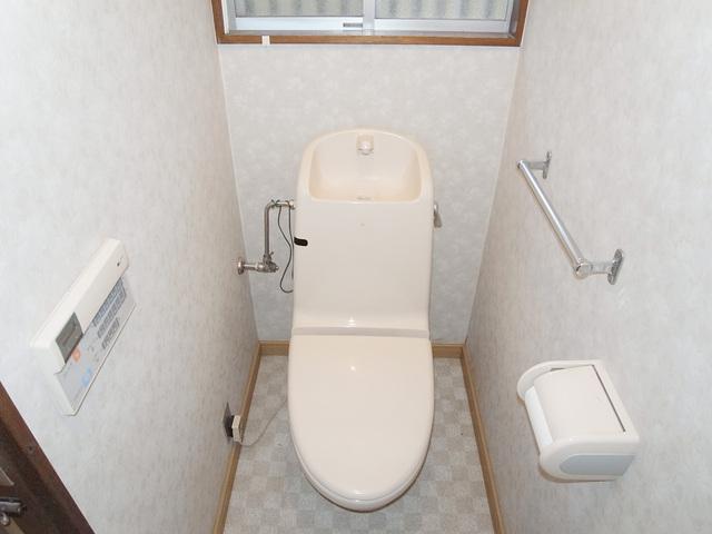 Toilet. Washlet with function