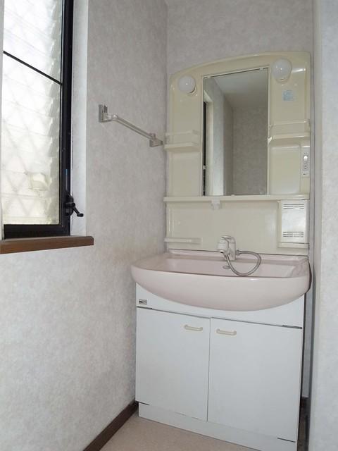 Bathroom. Vanity shower