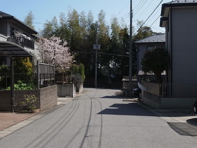 Local photos, including front road. A quiet residential area