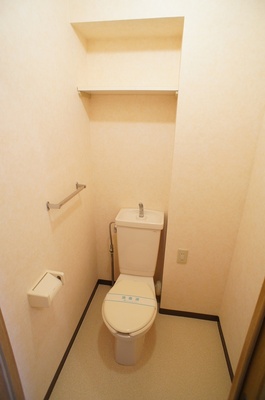 Toilet. Toilet (with electrical outlet There is also a shelf at the top. )