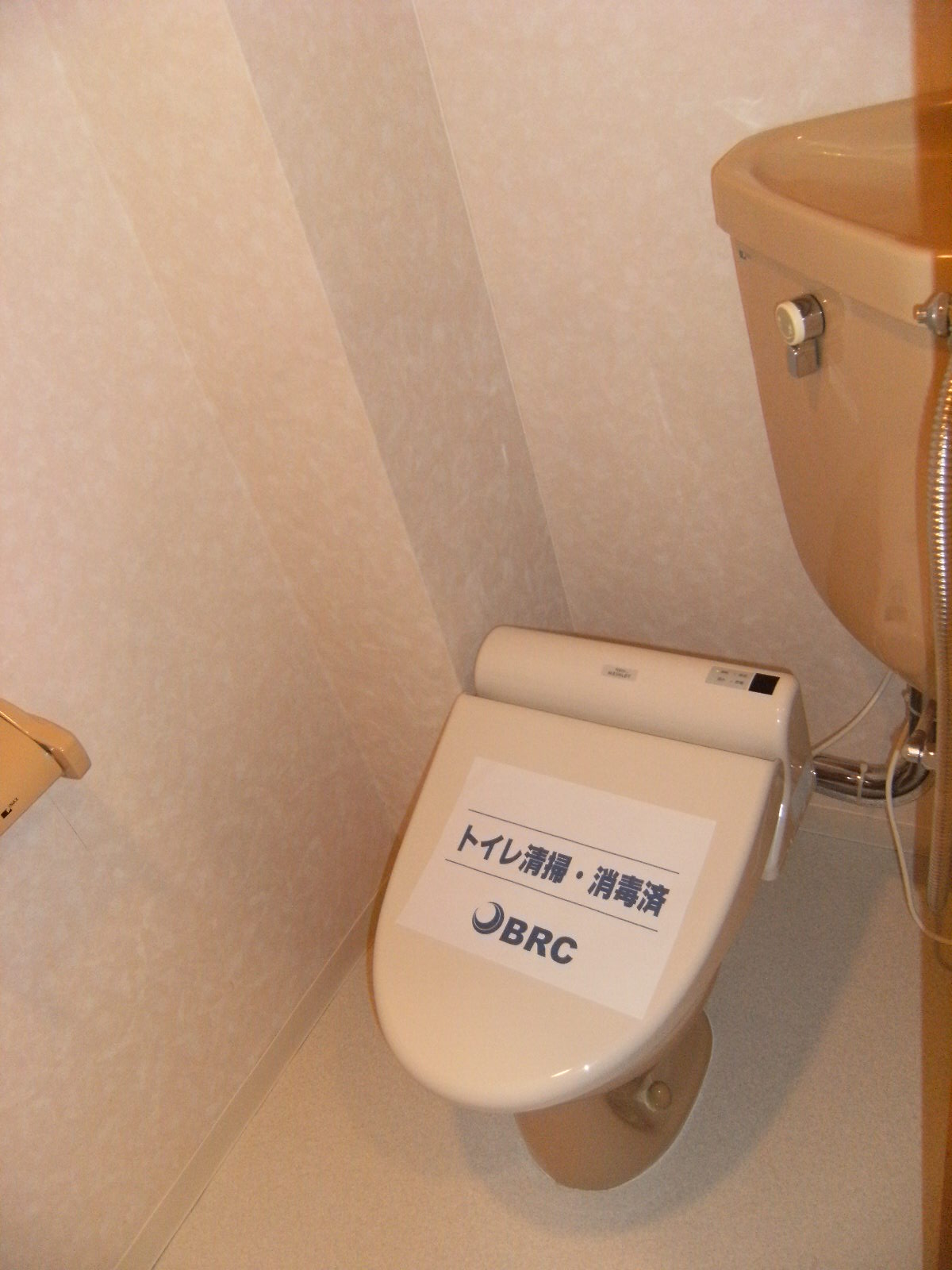 Toilet. New bidet with toilet