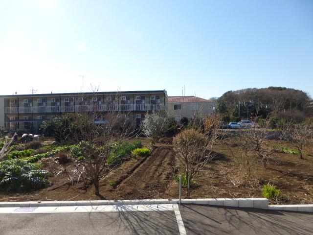 View photos from the dwelling unit. Local (12 May 2013) Shooting