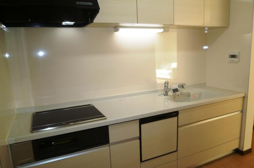 Kitchen. Indoor (11 May 2013) Shooting