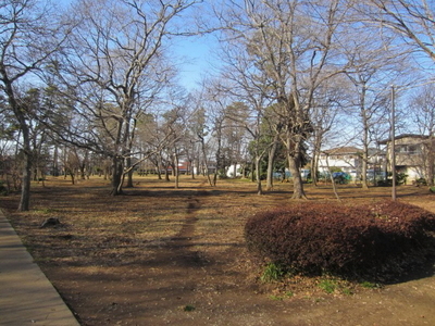 park. Yachiyodaiminami 50m until the forest of citizens (park)