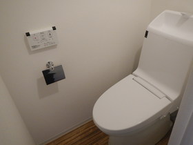 Toilet. With cleaning warm toilet seat. Equipment large enhancement!