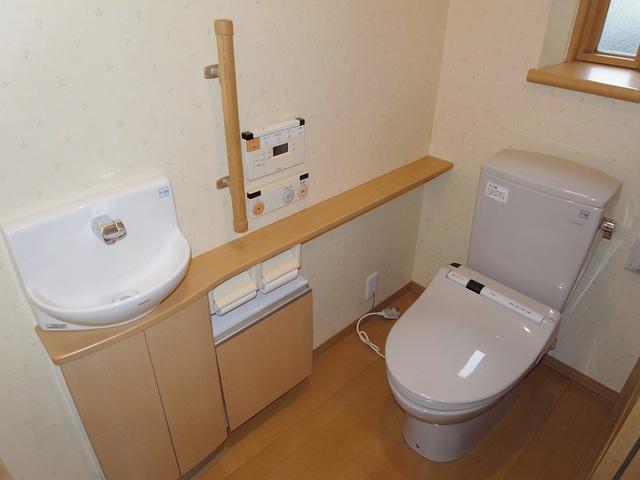Toilet. Convenient wash-basin with toilet (washlet with function)