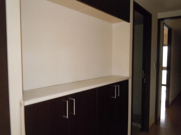Other introspection. Stylish living storage of with counter