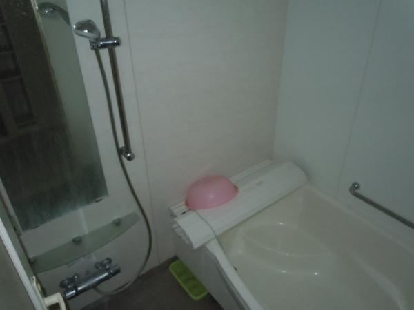 Bathroom. Clean in the bath also every day of fatigue!