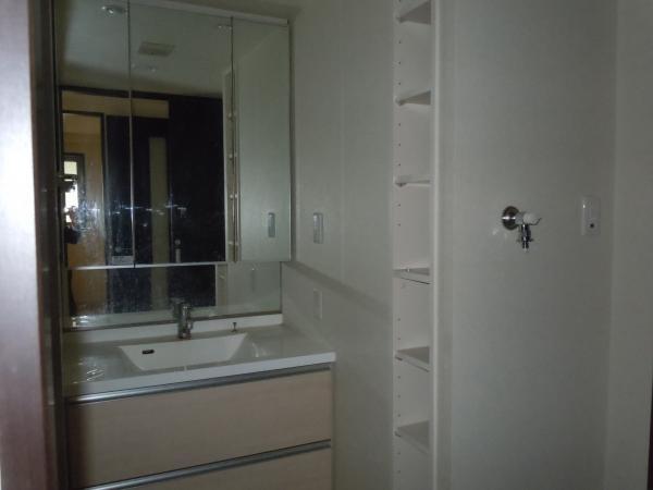 Wash basin, toilet. Spacious wash room