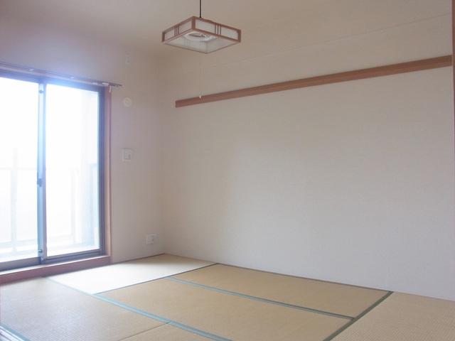 Non-living room. Can you use it in the living room and on earth