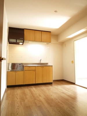 Kitchen. It can be used widely is the room in the wall with the kitchen.