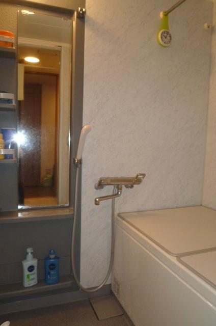 Bathroom. Indoor (July 2013) Shooting