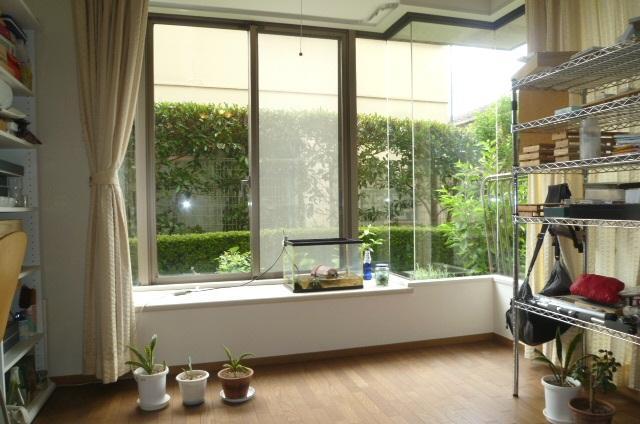 Living. San living (July 2013) Shooting