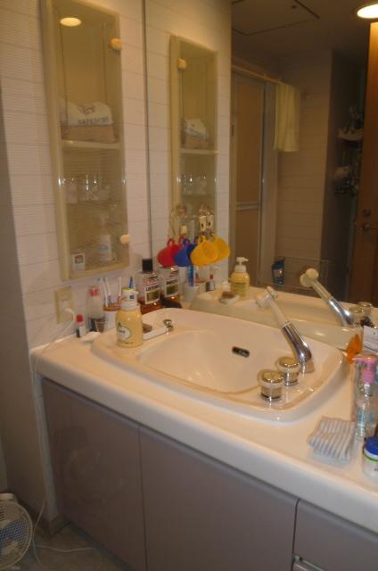 Wash basin, toilet. Indoor (July 2013) Shooting