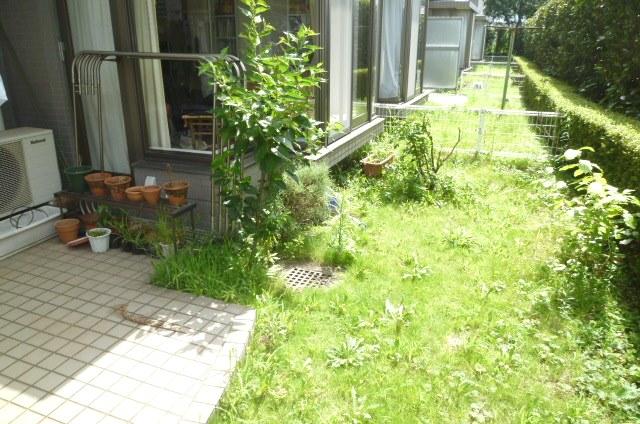 Garden. Private garden (August 2013) Shooting