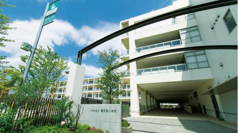 Primary school. Kayada to South Elementary School 480m