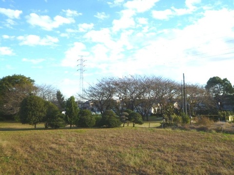 View. Trees sample Gardens across the street, Green is rich