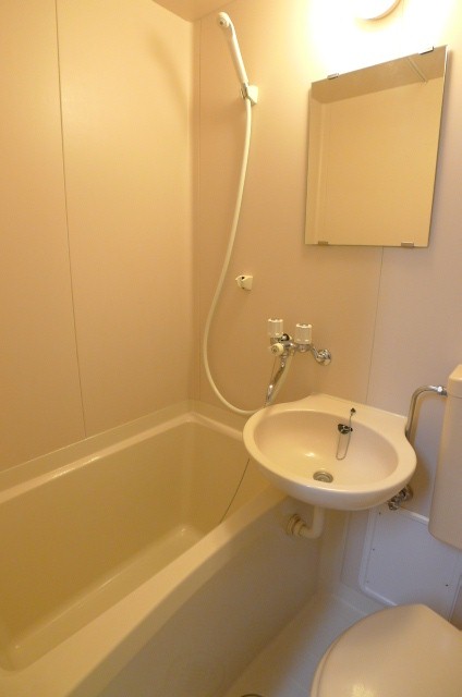 Bath. Shower fully equipped bathroom