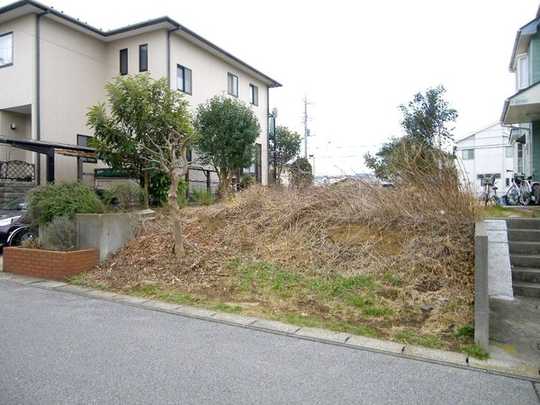 Local land photo