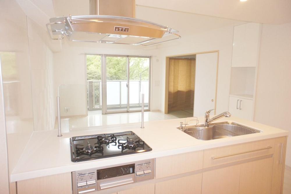 Other local. Indoor (11 May 2013) Shooting