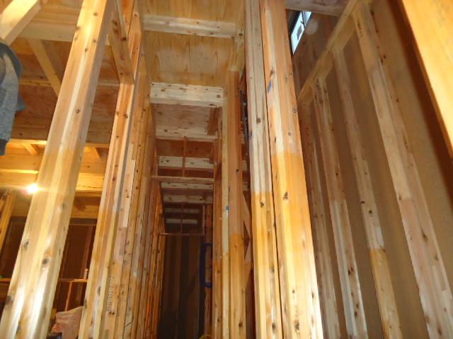 Other. Local (12 May 2013) Shooting