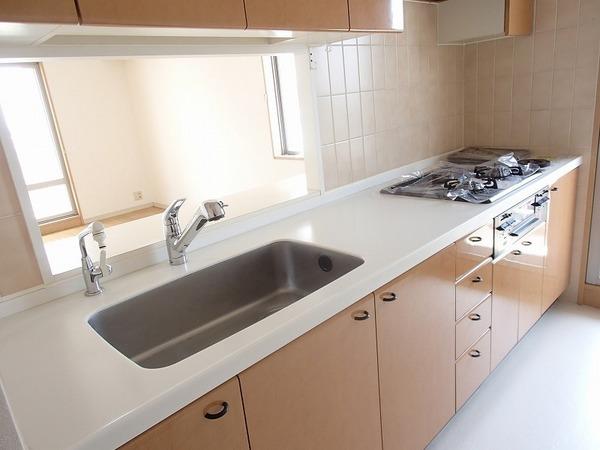 Kitchen. Local (12 May 2013) Shooting