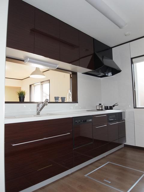 Kitchen. Dishwasher + IH + with water purifier