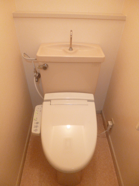 Toilet. Bidet we established