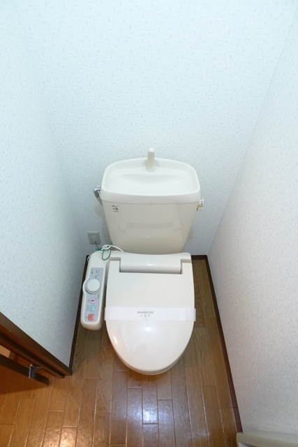 Toilet. Clean cleaning function toilet