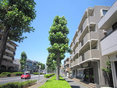 Building appearance. Tree street Yuri. Sidewalk leisurely. Stroller is also easy street.