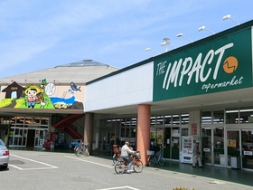 Shopping centre. Nishimatsuya Yachiyo shop until the (shopping center) 751m