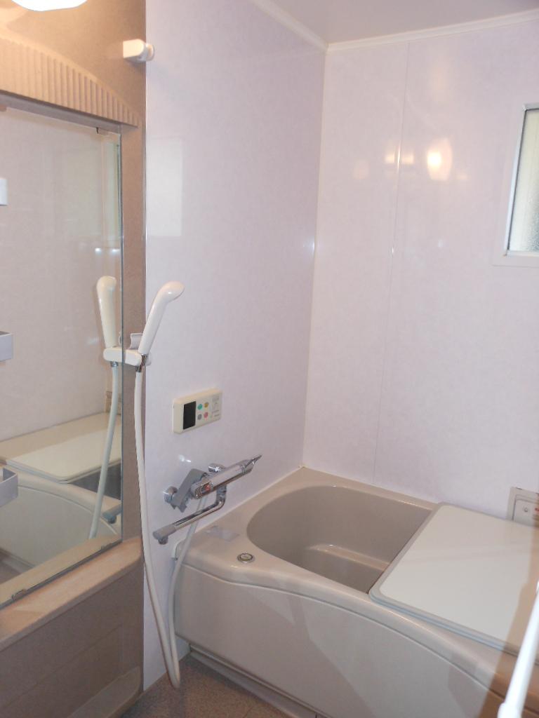 Bathroom. 2013 November shooting