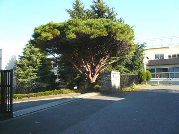 Primary school. Yachiyodaihigashi until elementary school 740m