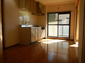 Kitchen. The first floor, but is bright kitchen.