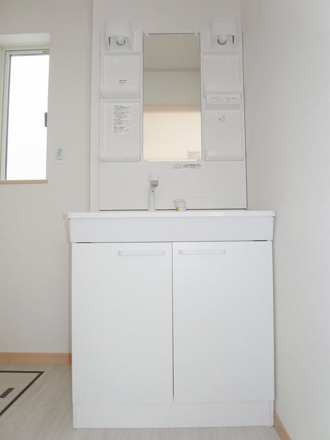 Wash basin, toilet. Vanity shower