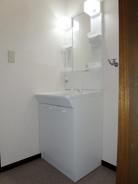Wash basin, toilet. Vanity shower
