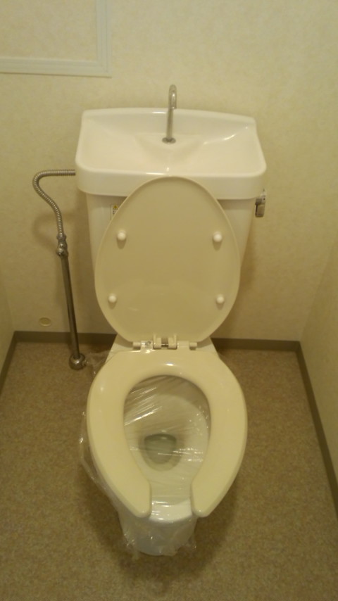 Toilet