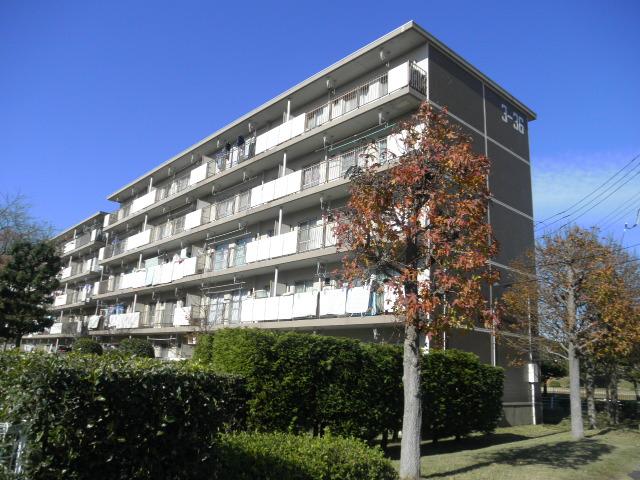 Local appearance photo. Local (12 May 2013) Shooting