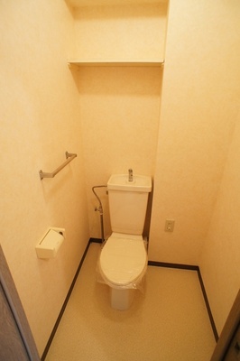 Toilet. Toilet "with a convenient shelf" outlet there