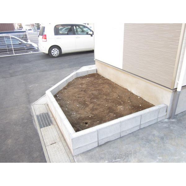 Other local. You can enjoy, such as home garden