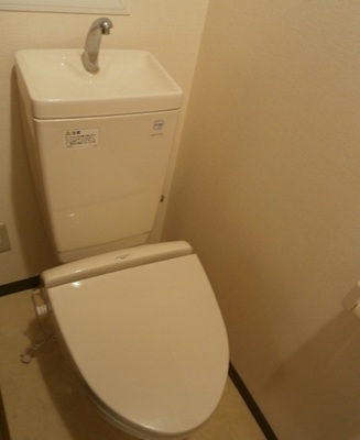 Toilet. Warm toilet function with toilet