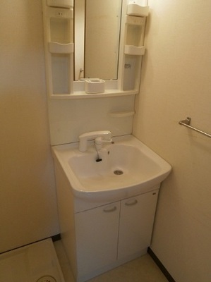 Washroom. Independent wash basin with a shampoo dresser