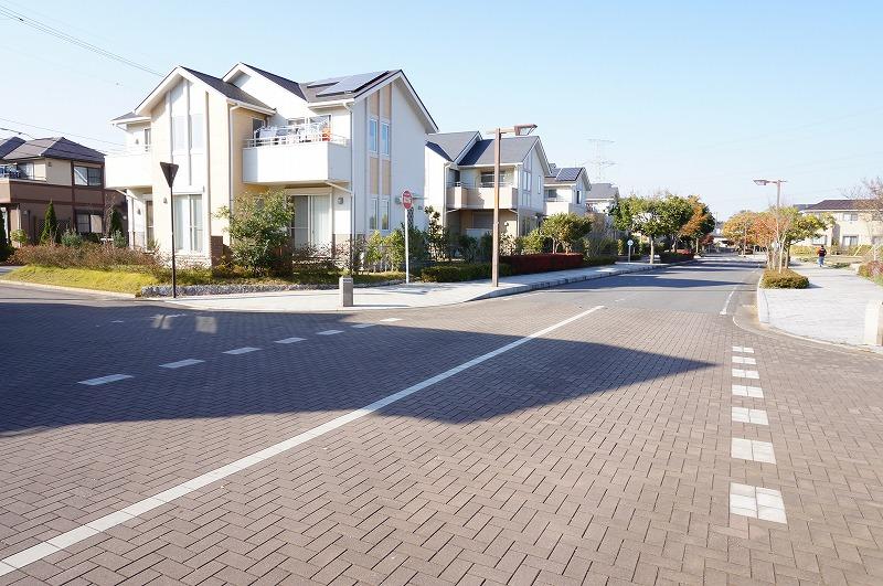 Local photos, including front road. Local (11 May 2013) Shooting