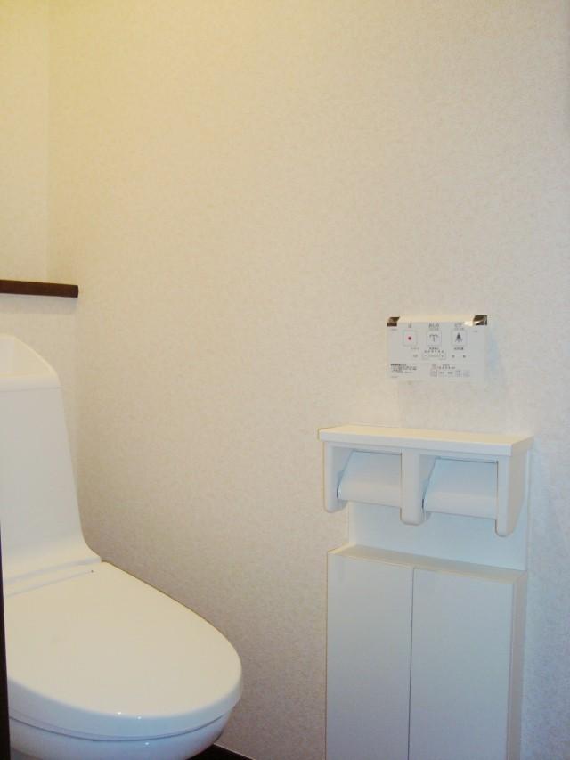 Toilet. Water-saving high-performance toilet (December 2013) Shooting