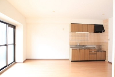 Living and room. South-facing bright living ☆