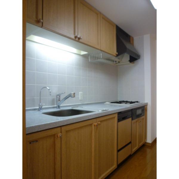 Kitchen. With dishwasher