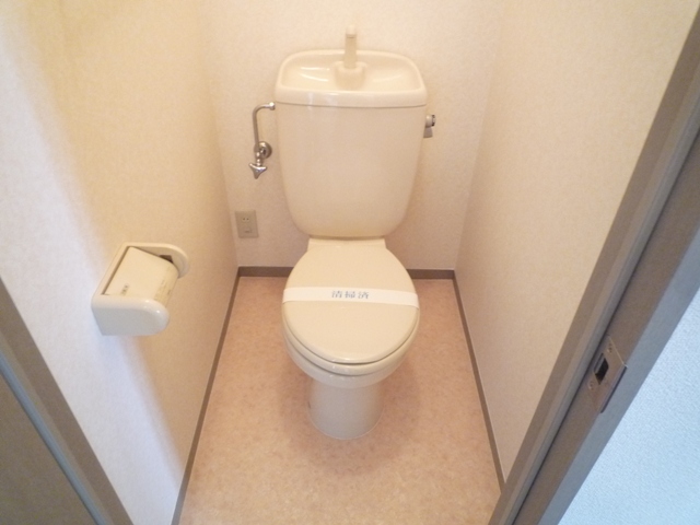 Toilet. Clean flush toilet