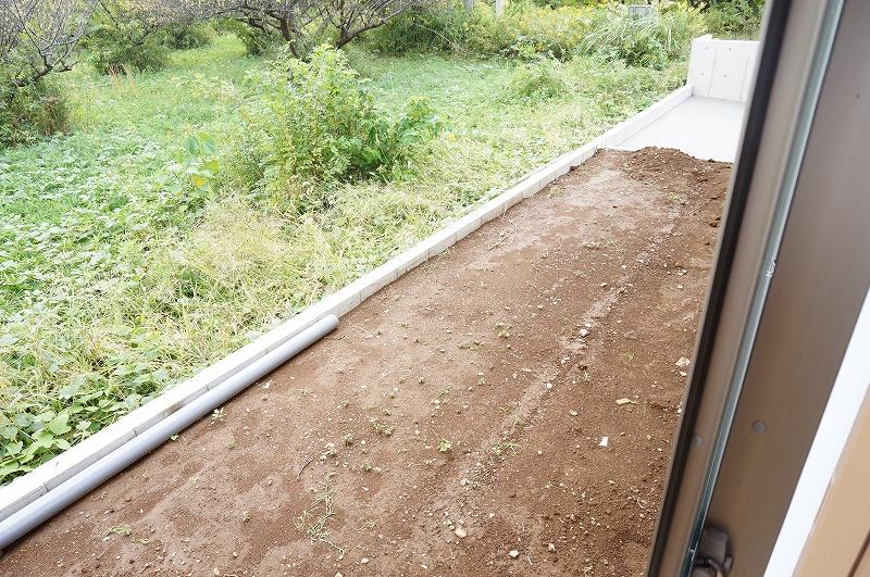 Garden. 2013 October shooting