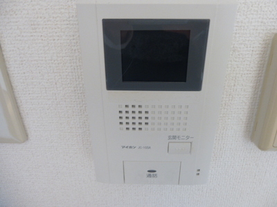 Security. Monitor with intercom